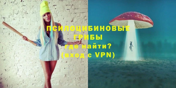 тгк Пестово