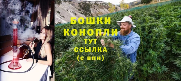 меф Арсеньев