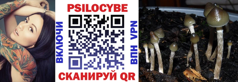 darknet наркотические препараты  Талдом  Псилоцибиновые грибы мухоморы 